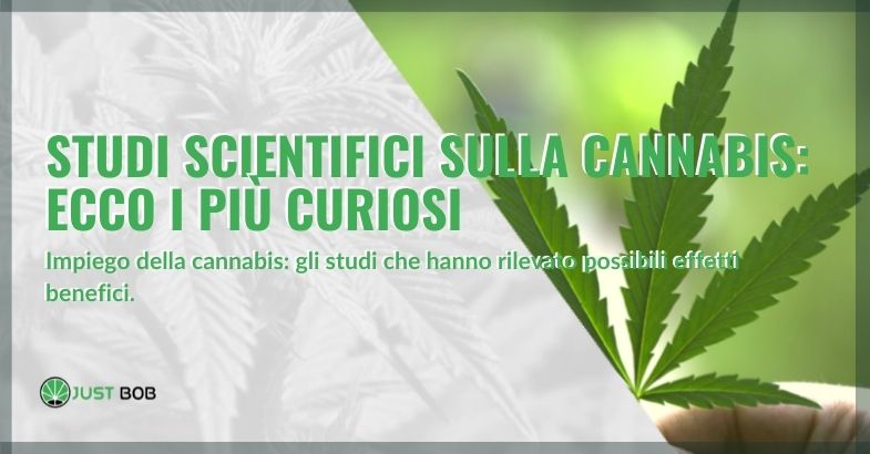 studi scientifici sulla cannabis