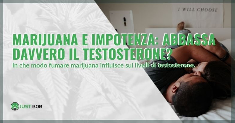 Marijuana e impotenza: il testosterone si abbassa?