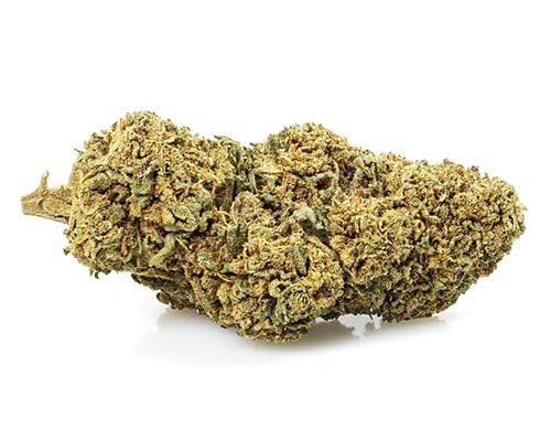 Cannabis light Melon kush
