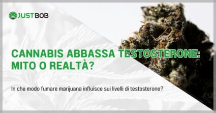 Cannabis abbassa testosterone: mito o realtà?