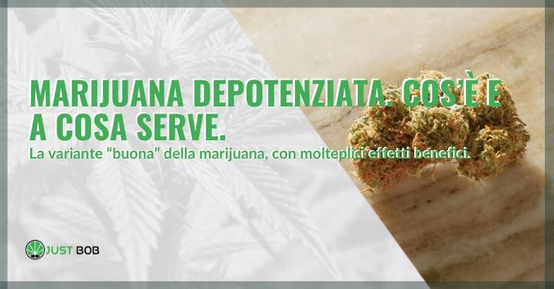 Cosa è a e cosa serve la marijuana depotenziata?