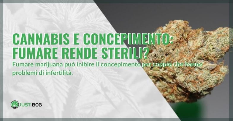 Fumare la cannabis può rendere sterili?