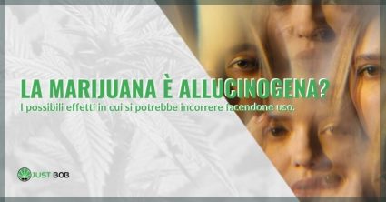 La marijuana dà allucinazioni?