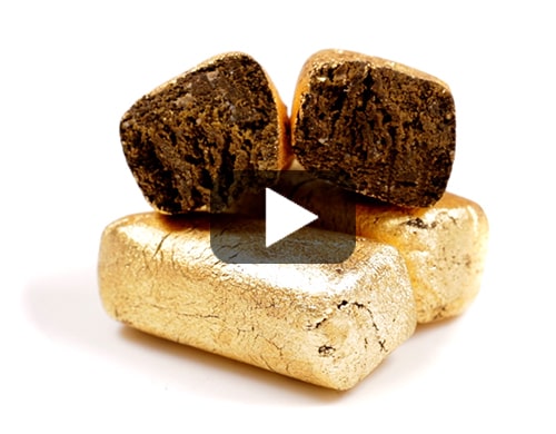Afghan-gold-hashish-cbd