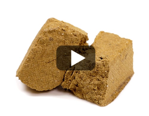 Burbuka-hashish-cbd