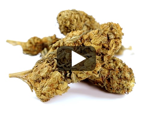 Cime-di-cannabis-legale-outdoor-mix