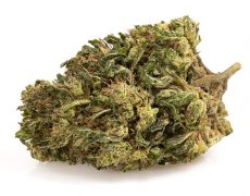 ak47-cbd-boost-cannabis-light