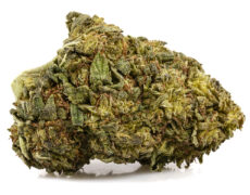 ak47 cbd boost cannabis light