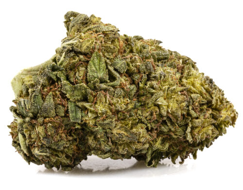 ak47 cbd boost cannabis light