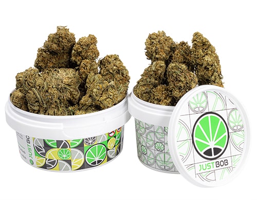 barattoli cannabis legale outdoor mix