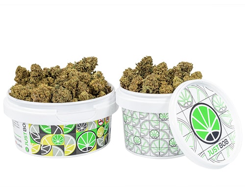 barattolo cime bubblegum small cannabis cbd