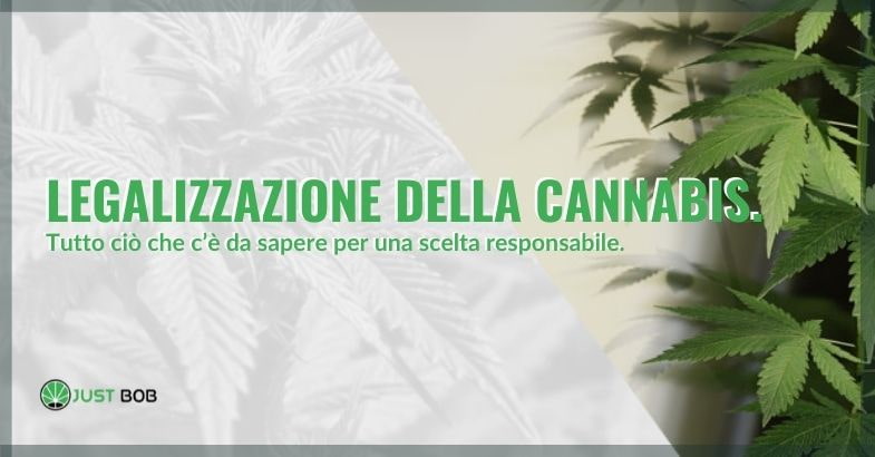 Tutto ciò che riguarda la legalizzazione della cannabis