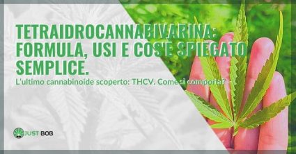 Cos'è la tetraidrocannabivarina: gli usi e la formula