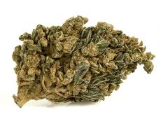 HQ-cbd-boost-cannabis-light