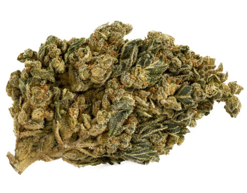 HQ cbd boost cannabis light
