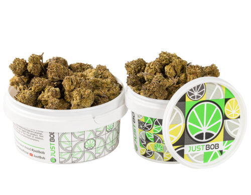 barattolo con cime piccole di HQ cbd boost cannabis light