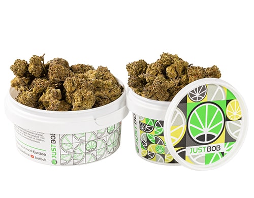 barattolo-con-cime-piccole-di-HQ-cbd-boost-cannabis-light