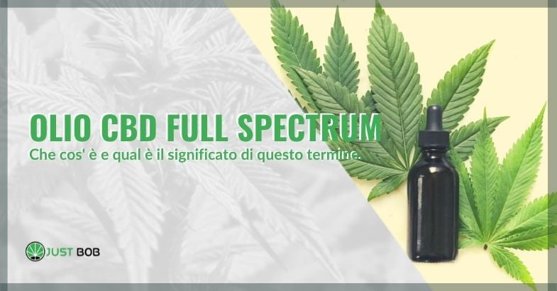 Che cos'è l'olio di CBD full spectrum e qual è il significato del termine?