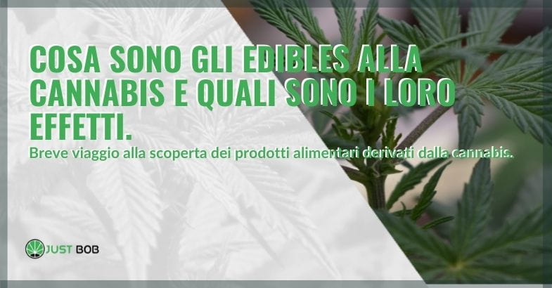 Cosa sono ed effetti degli edibles alla cannabis.