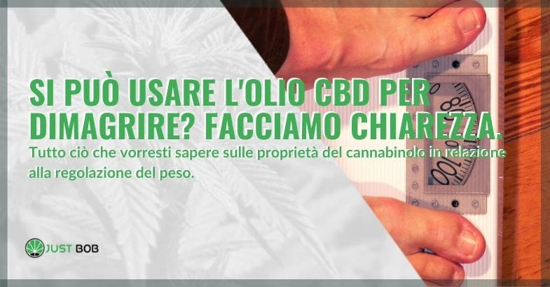 Tutte le proprietà del cannabinolo in relazione alla regolazione del peso