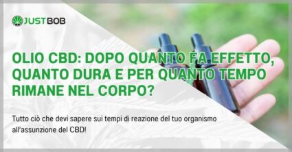 Olio CBD: dopo quanto fa effetto, quanto dura