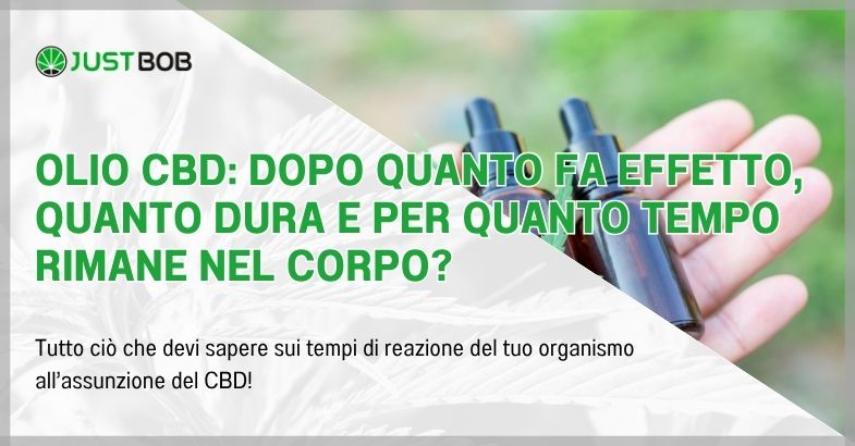 Olio CBD: dopo quanto fa effetto, quanto dura