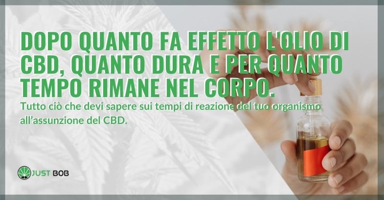 Tempi di reazione dell'organismo al CBD e la durata degli effetti