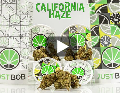 California-haze-video