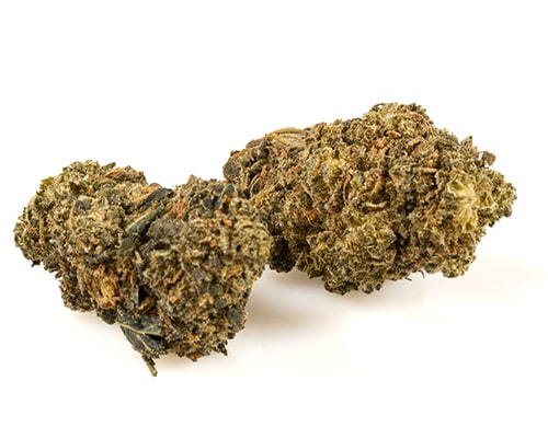 amnesia-cbd-boost-cannabis-light