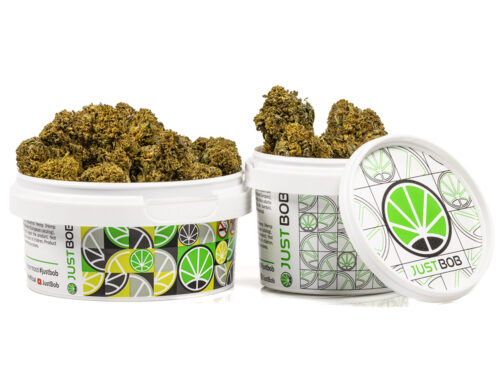 barattolo cime amnesia cbd boost cannabis light