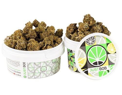 barattolo-cime-amnesia-cbd-boost-cannabis-light