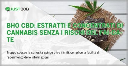 BHO CBD: estratti e concentrati di cannabis senza i rischi del fai-da-te