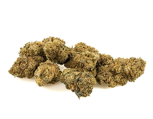 cime-di-cannabis-light-amnesia-cbd-boost