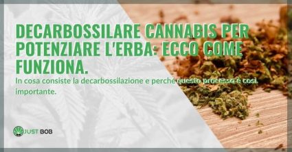 Ecco come funziona la decarbossilazione della cannabis