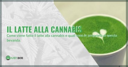 Come viene fatto il latte alla cannabis?