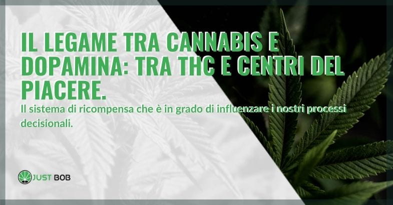 Il legame tra dopamina e cannabis