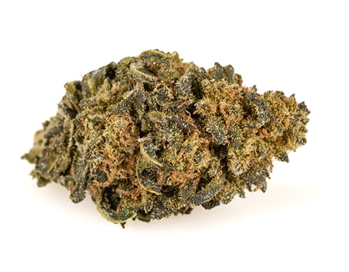 infiorescenza-amnesia-cbd-boost