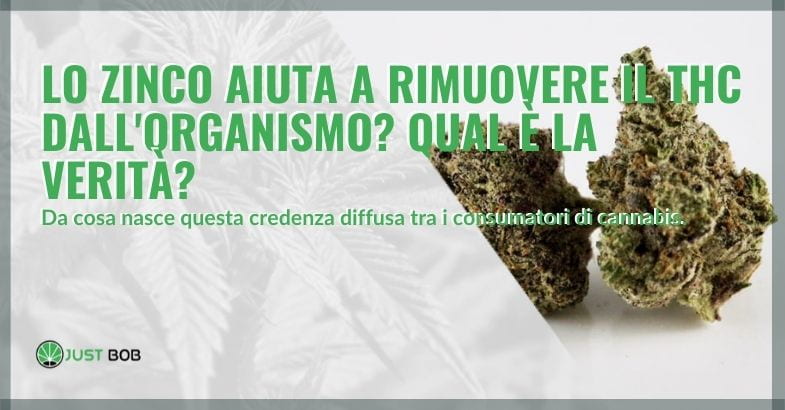 Lo zinco aiuta a rimuovere il THC nell'organismo?