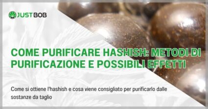 Come purificare hashish: metodi di purificazione e possibili effetti