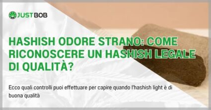 Hashish odore strano: come riconoscere un hashish legale di qualità?
