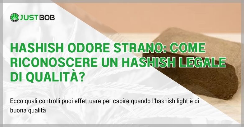 Hashish odore strano: come riconoscere un hashish legale di qualità?