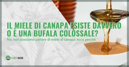 il miele di canapa esiste davvero?