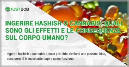 Ingerire hashish o cannabis: quali sono gli effetti e le conseguenze sul corpo umano?
