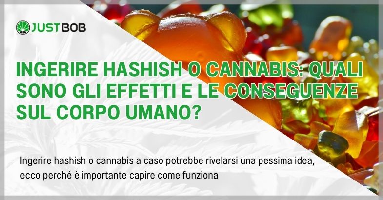 Ingerire hashish o cannabis: quali sono gli effetti e le conseguenze sul corpo umano?
