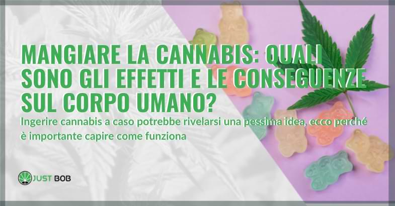 mangiare la cannabis