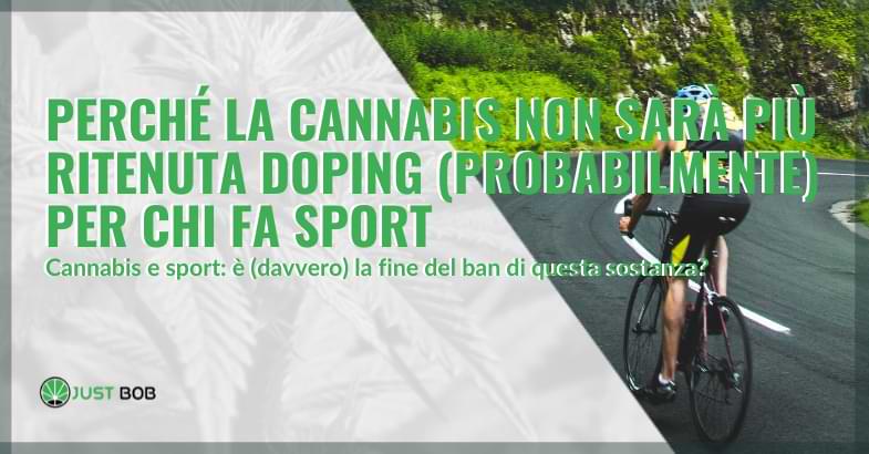 cannabis doping sport