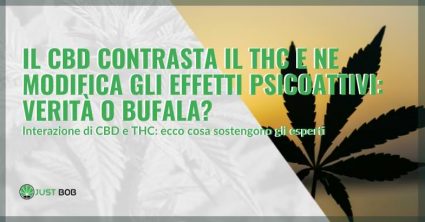 il CBD contrasta il THC