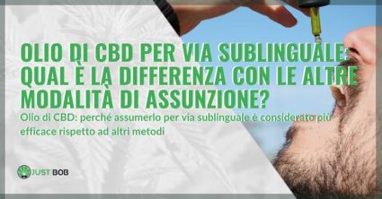 olio di cbd per via sublinguale