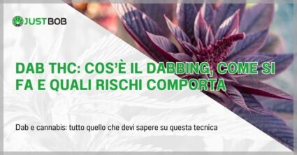 Dab THC: cos’è il dabbing, come si fa e quali rischi comporta
