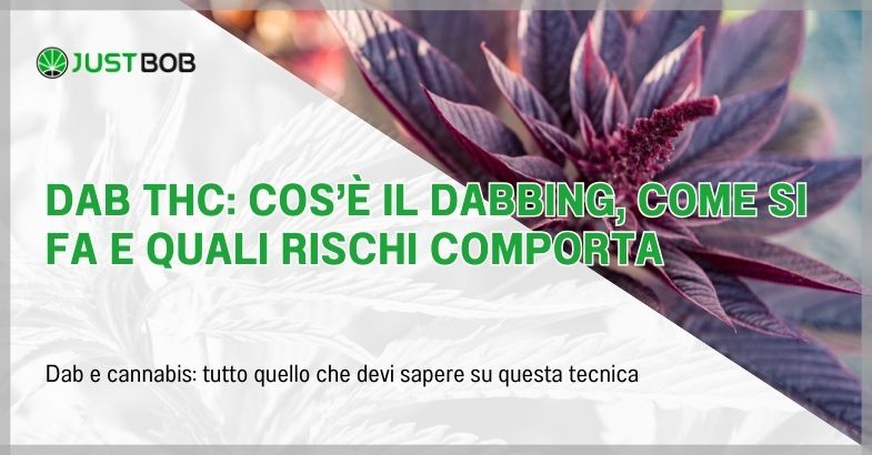 Dab THC: cos’è il dabbing, come si fa e quali rischi comporta